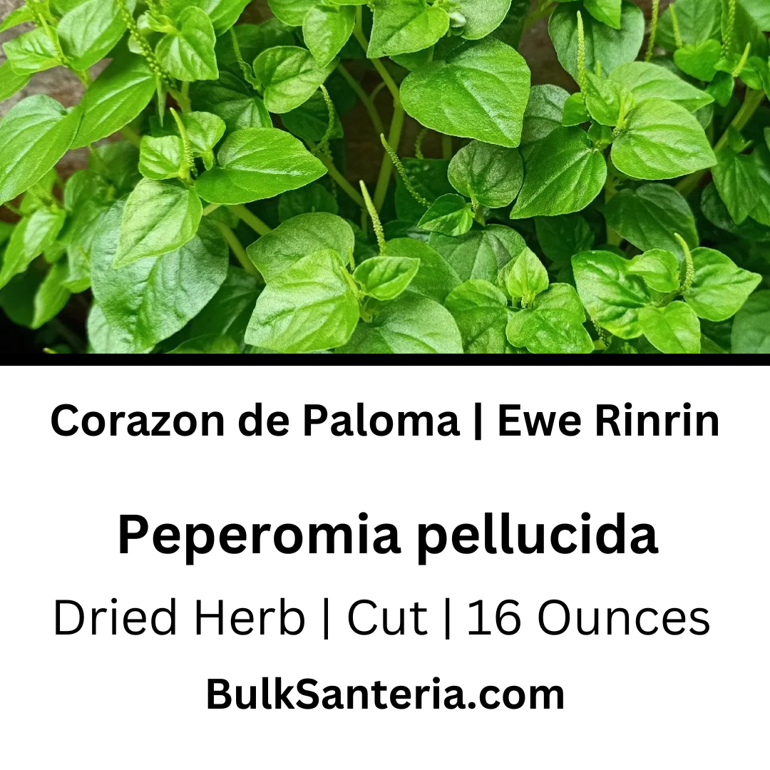 Corazon de Paloma | Ewe Rinrin