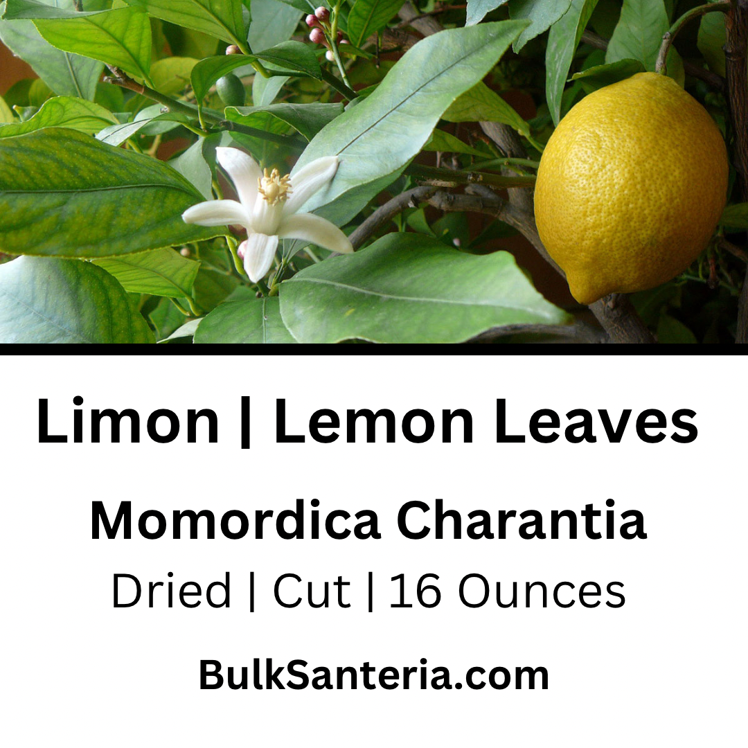 Limon | Lemon Leaves | Citus Limon