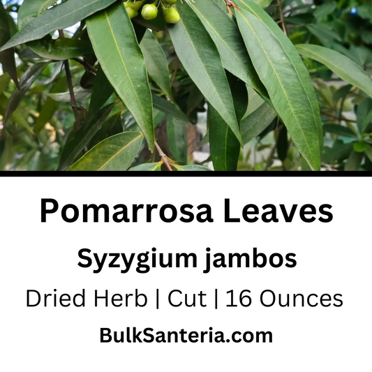 Pomarrosa Leaves