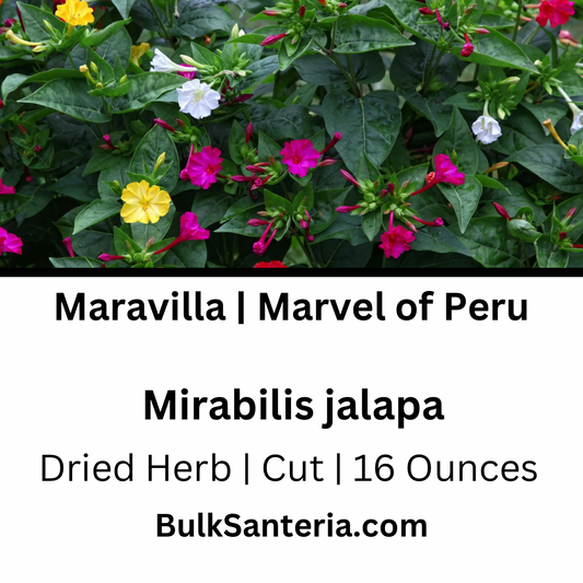 Maravilla | Marvel of Peru Leaves