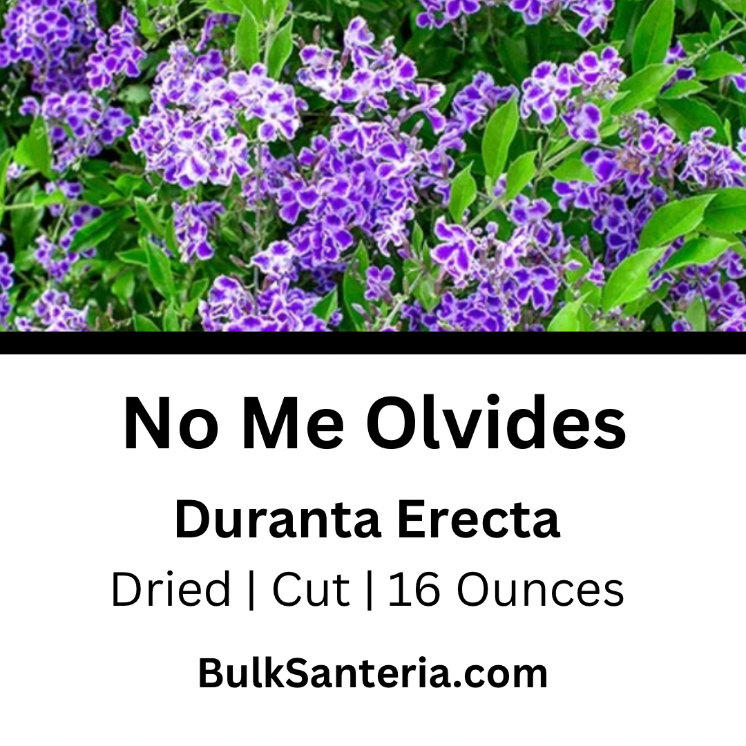 No Me Olvides | Duranta Erecta