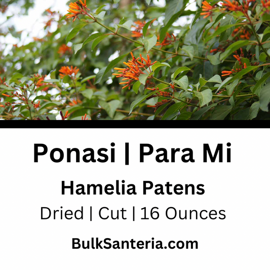 Ponasi | Para Mi | Hamelia Patens