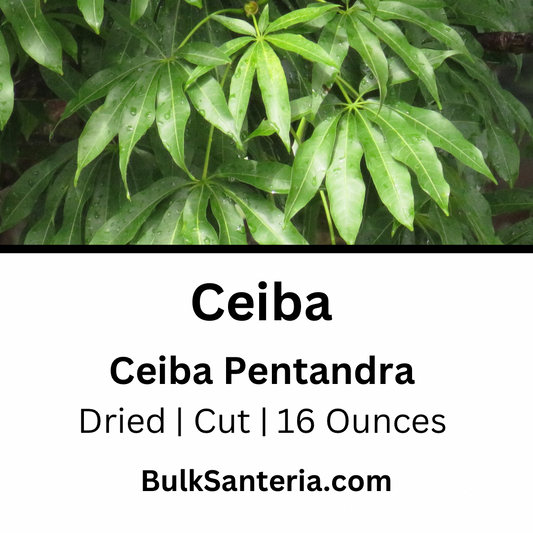 Ceiba | Ceiba Pentandra