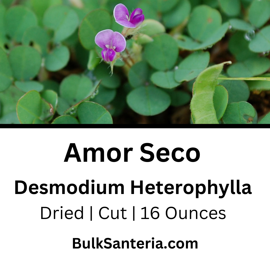 Amor Seco | Desmodium Heterophylla