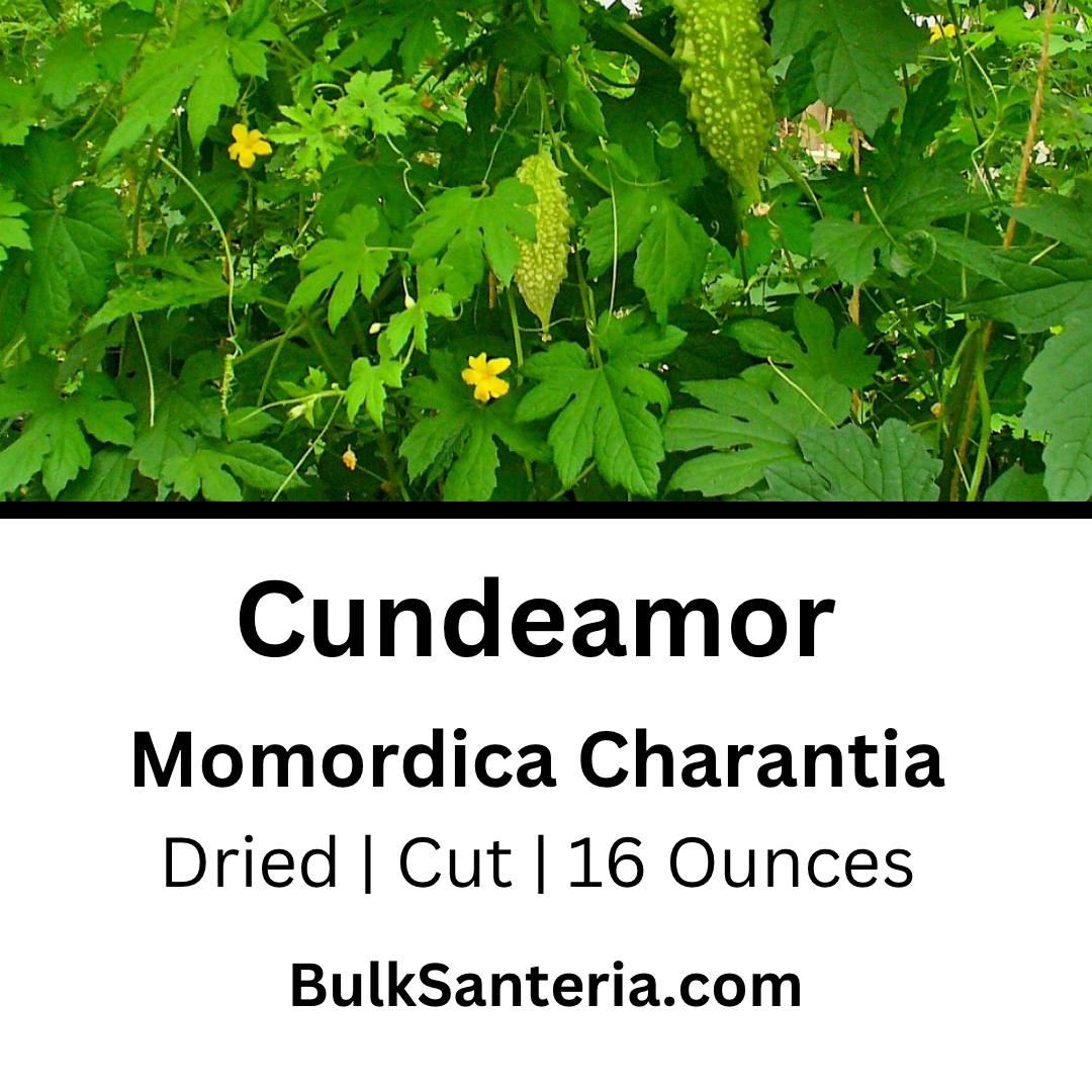 Cundeamor | Momordica Charantia