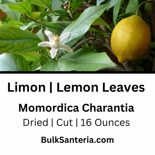 Limon | Lemon Leaves | Citus Limon