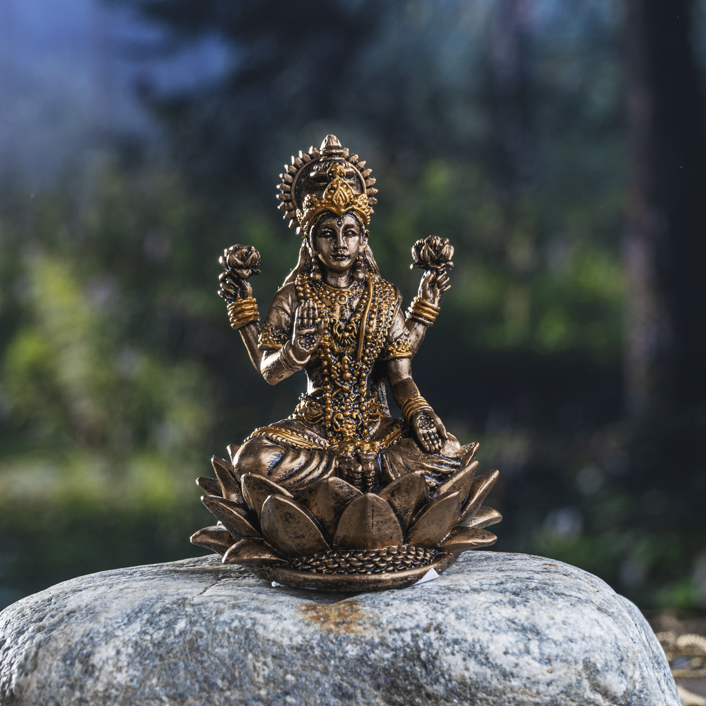 Lakshmi on Lotus