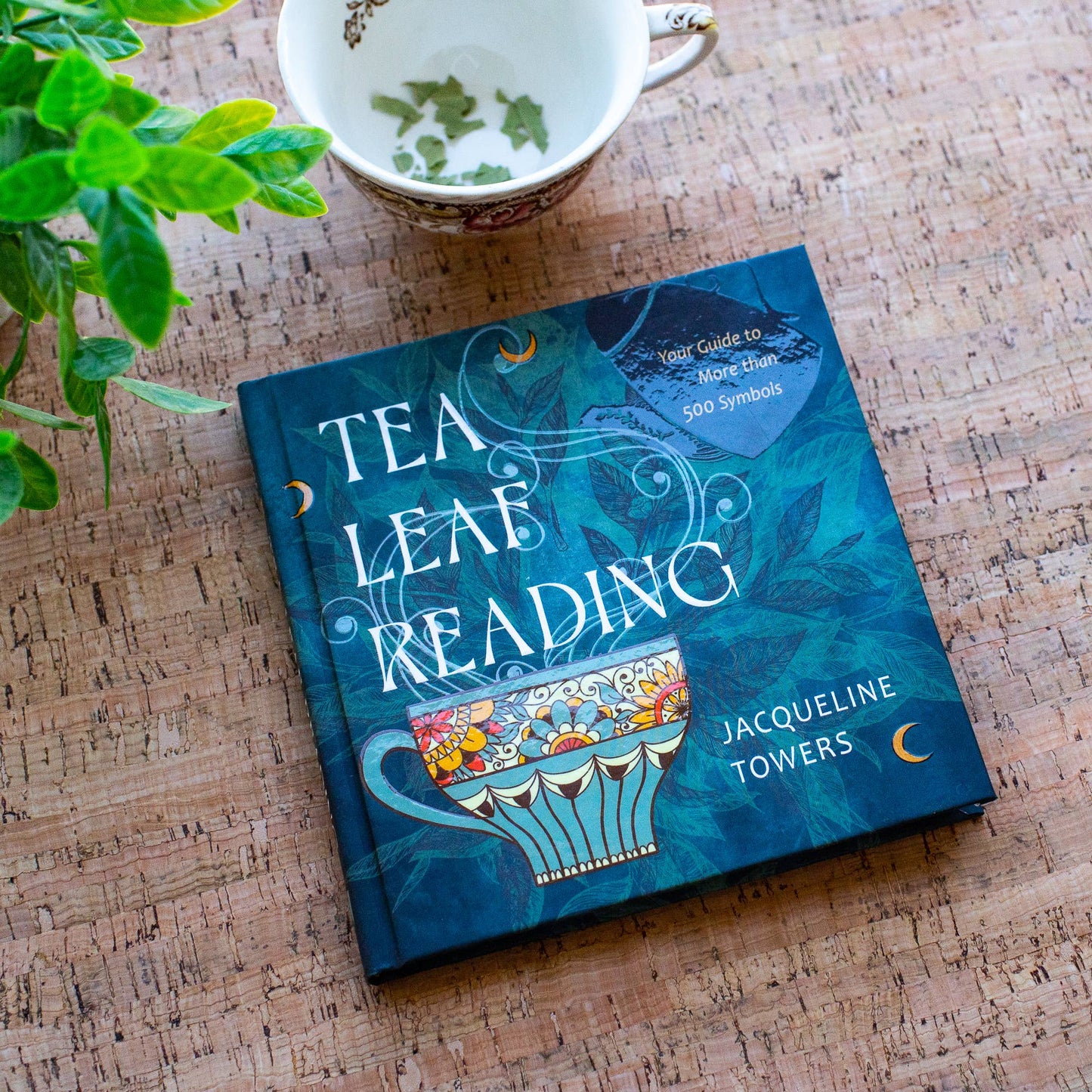 Tea Leaf Reading: Your Guide to More Than 500 Symbols